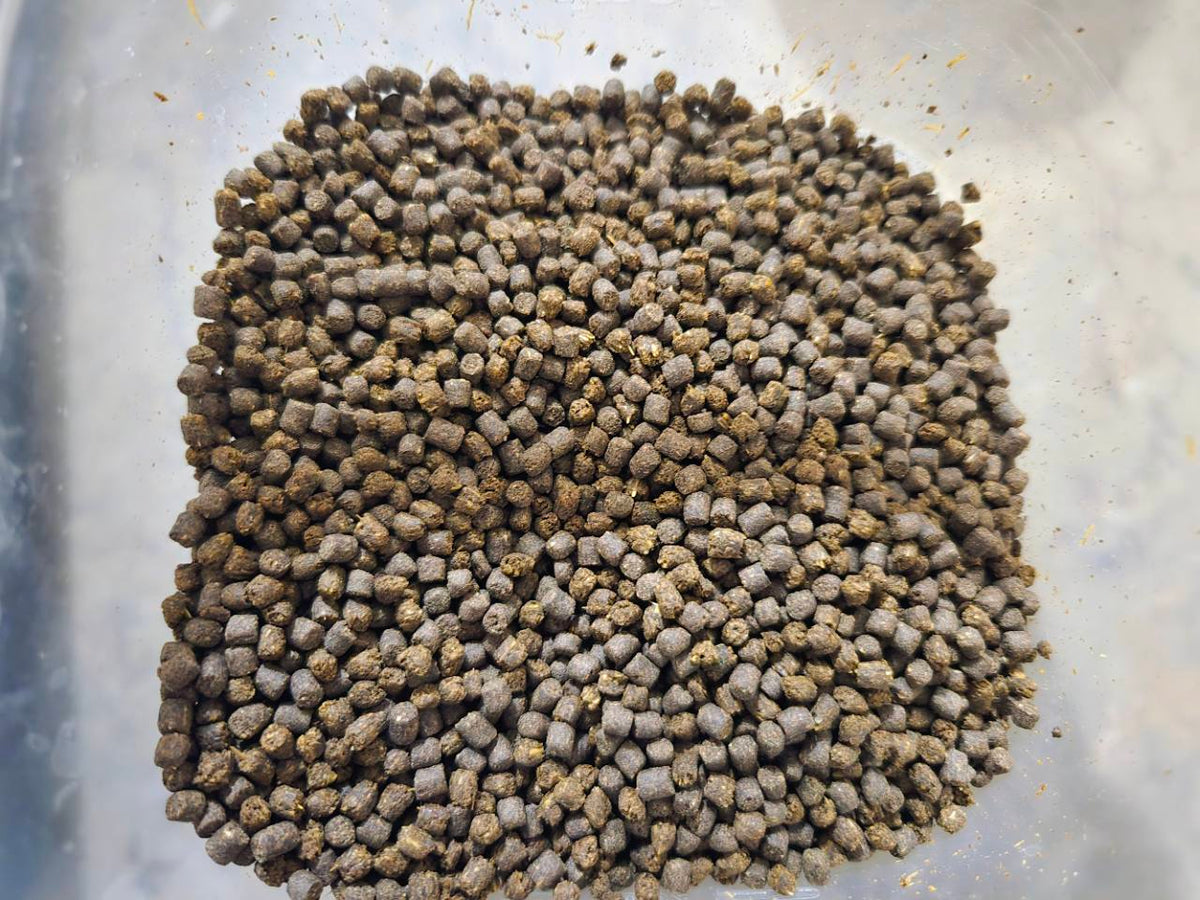 Omnivore Formula - 2.5 mm Sinking Pellets