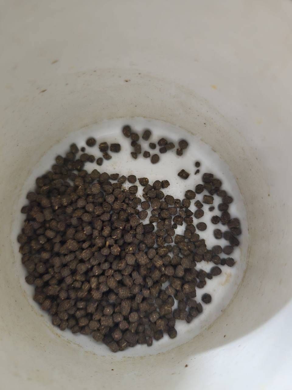 Omnivore Formula - 2.5 mm Sinking Pellets