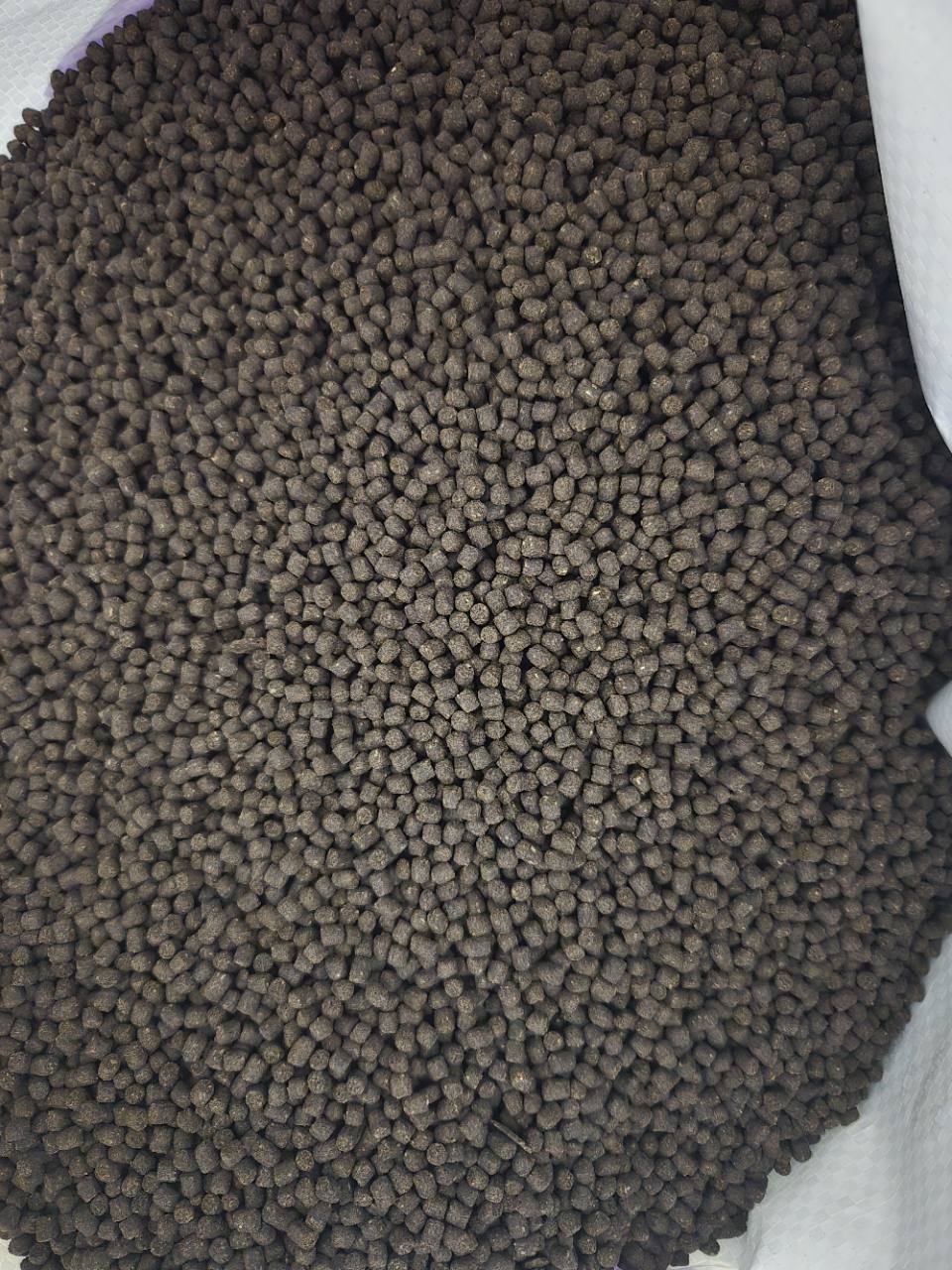 Carnivore Formula - 2.5 mm Sinking Pellets