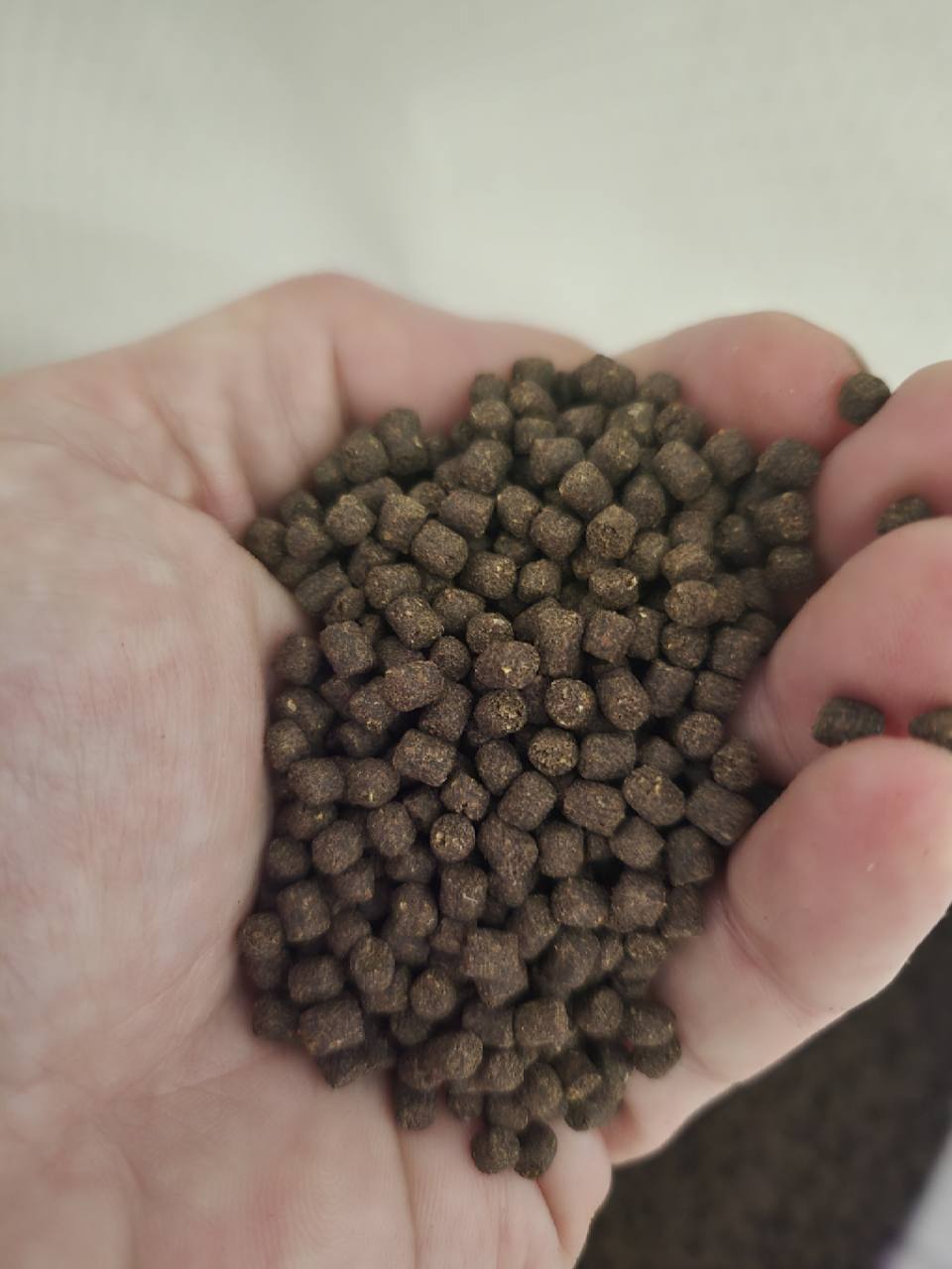 Carnivore Formula - 2.5 mm Sinking Pellets