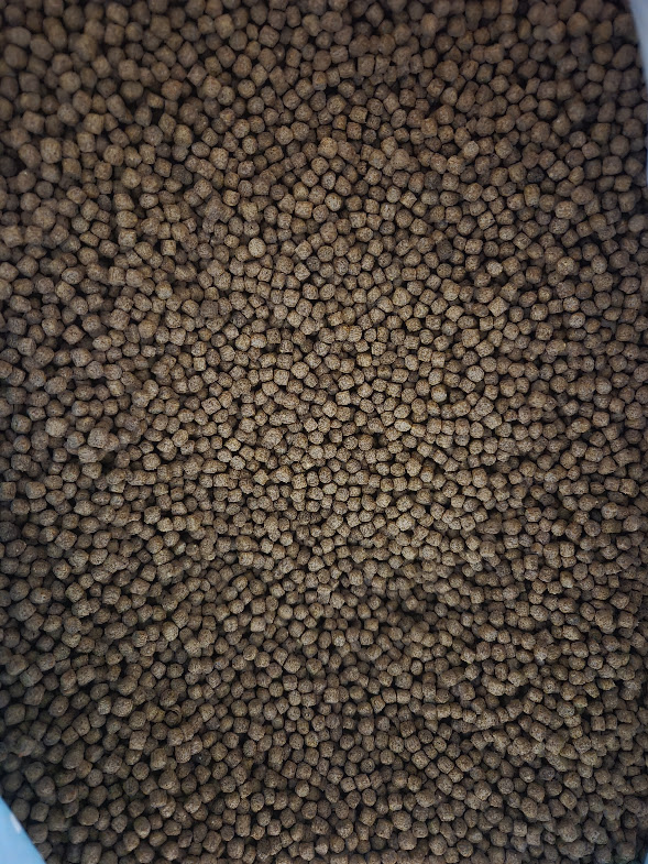 Close-up of FinNaturals Goldfish and Koi Formula pellets.