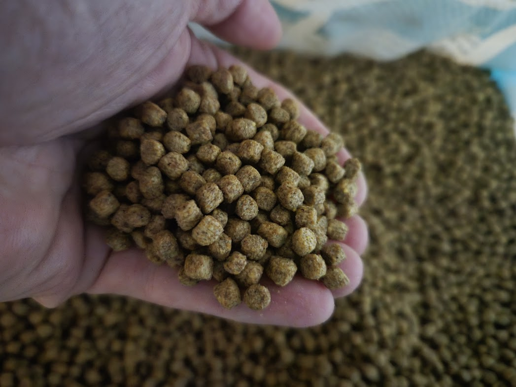 Handful of FinNaturals Goldfish and Koi Formula pellets.