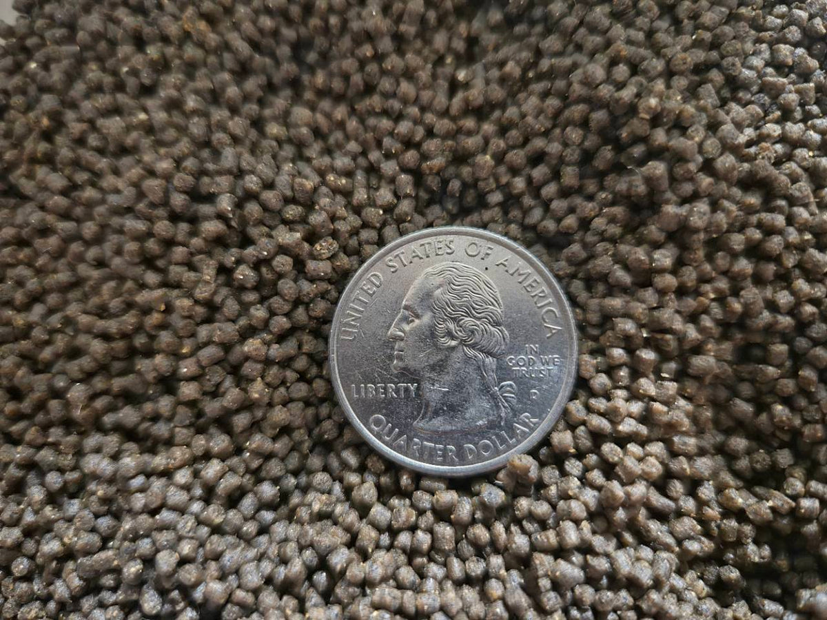Close-up of FinNaturals 1.2 mm pellets with a U.S. quarter for scale.