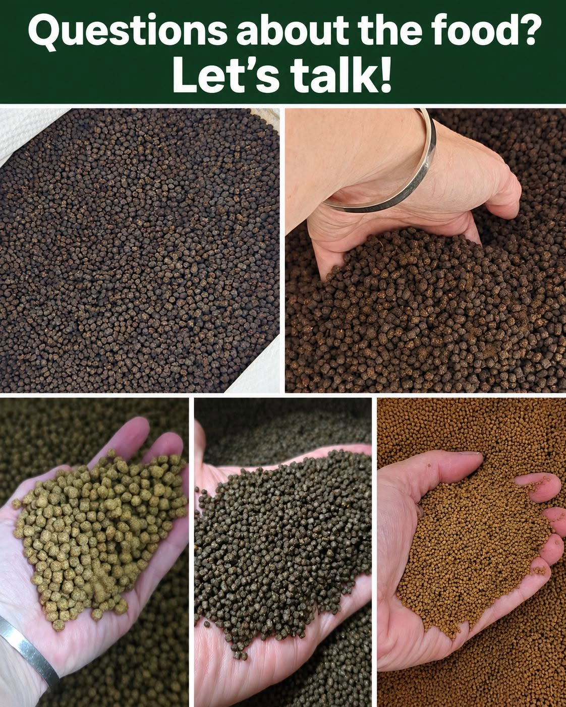 Questions about the food? Let’s talk! Close-up photos of FinNaturals fish food pellets.