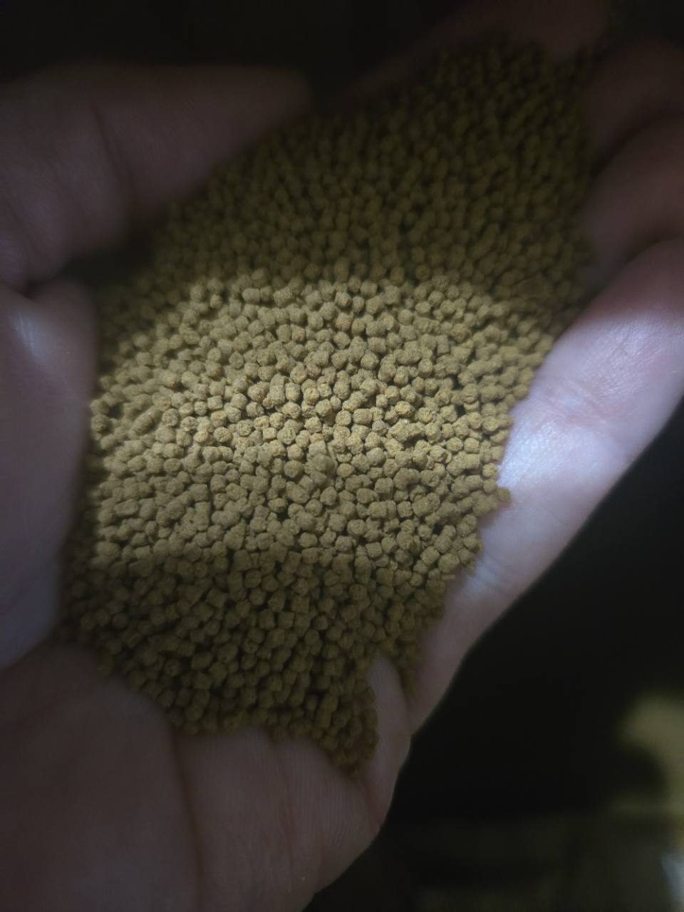 Close-up of FinNaturals Herbivore 1.2 mm pellets held in a hand.