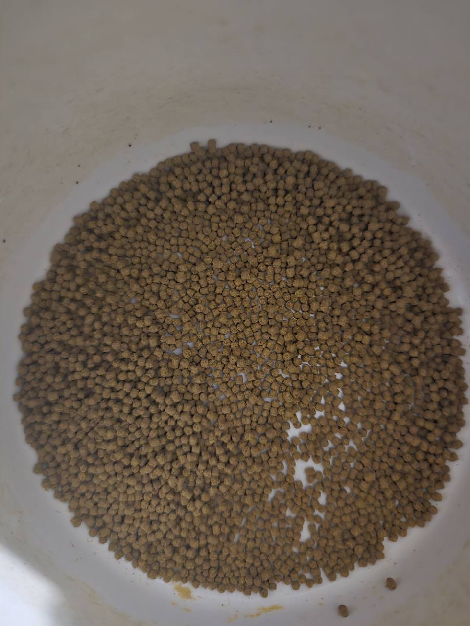 FinNaturals Herbivore 1.2 mm pellets viewed from above in a container.